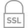 SSL icon